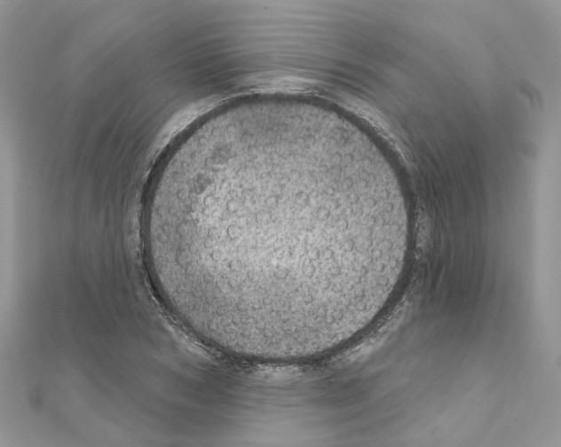 X0000110880978200907301430