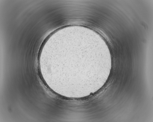 X0000110880980200907301430