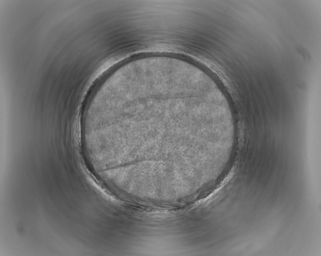 X0000110880982200907301430