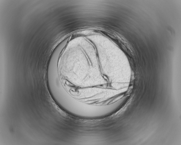 X0000110880985200907301430