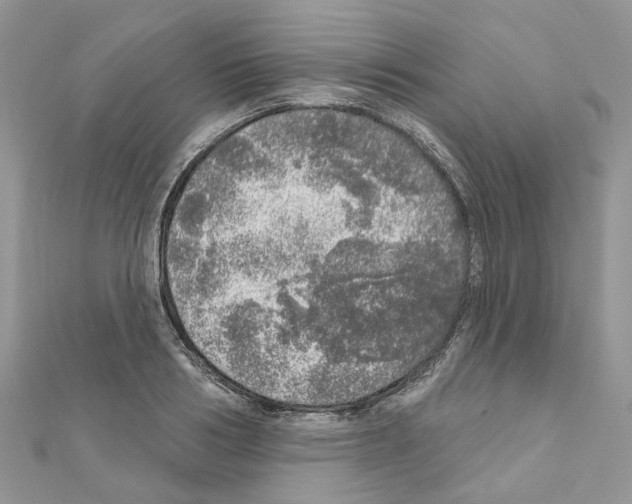 X0000110880986200907301430