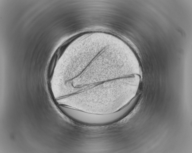 X0000110880989200907301430