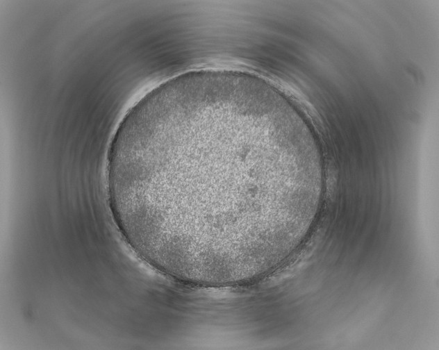 X0000110880990200907301430