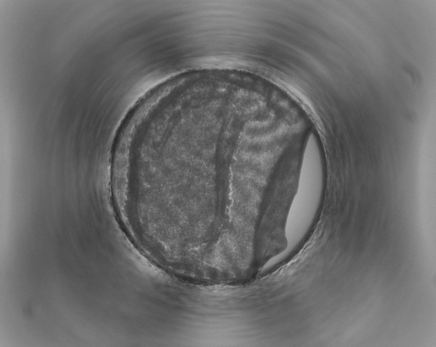 X0000110880992200907301430