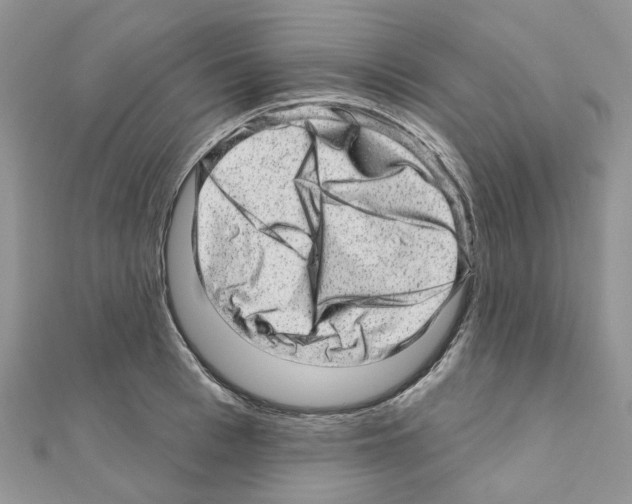 X0000110880993200907301430