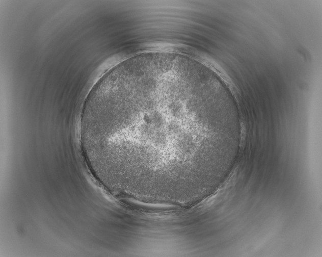 X0000110880994200907301430