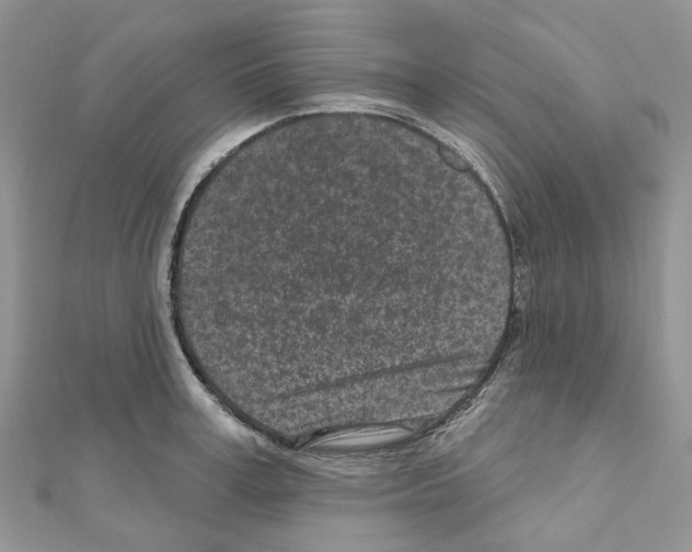 X0000110880995200907301430