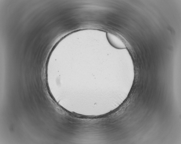 X0000110880996200907301430