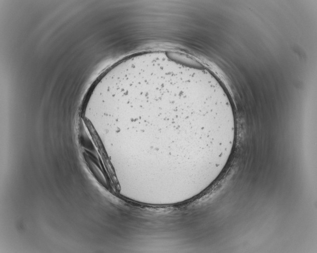 X0000110880997200907301430