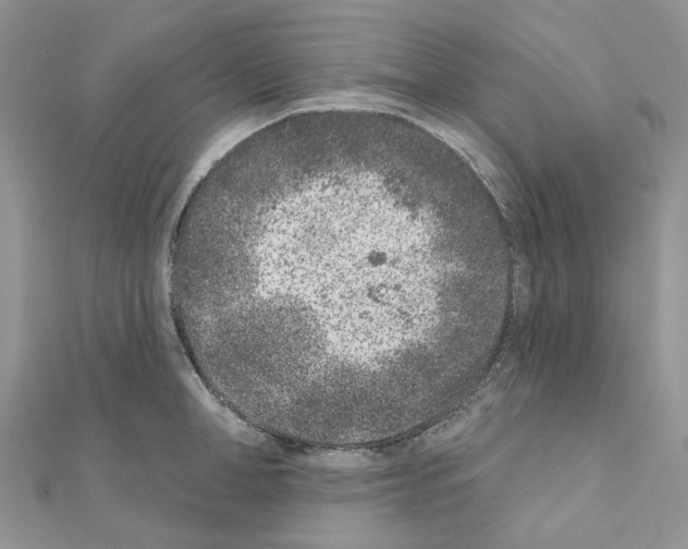 X0000110880998200907301430