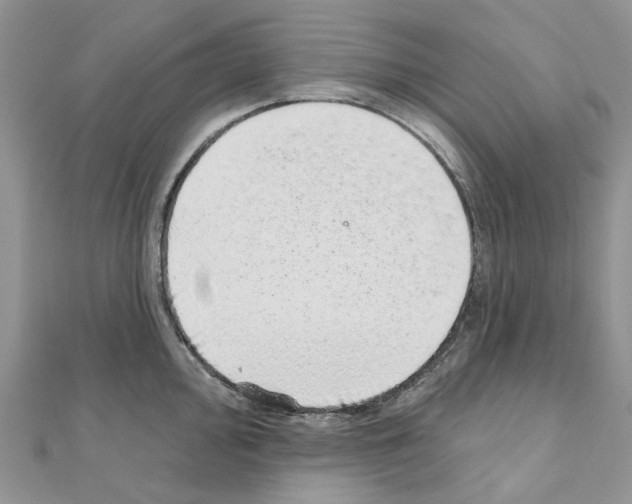 X0000110881000200907301430