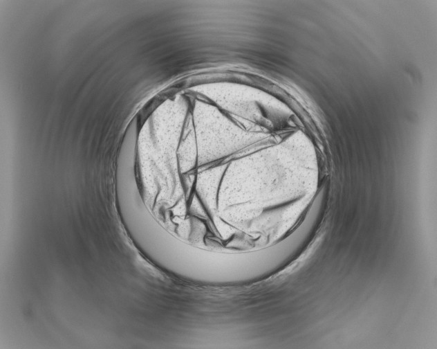 X0000110881001200907301430