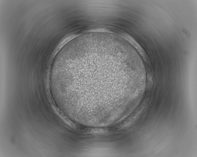 X0000110881002200907301430