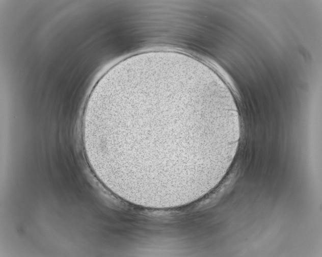 X0000110881004200907301430