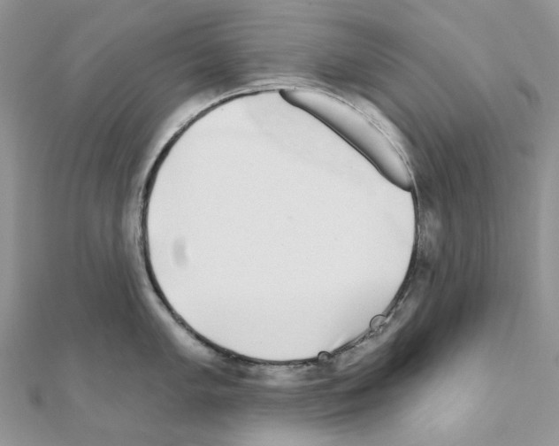 X0000110881005200907301430