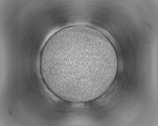 X0000110881006200907301430