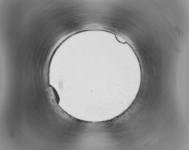 X0000110881008200907301430