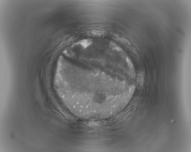 X0000110881009200907301429