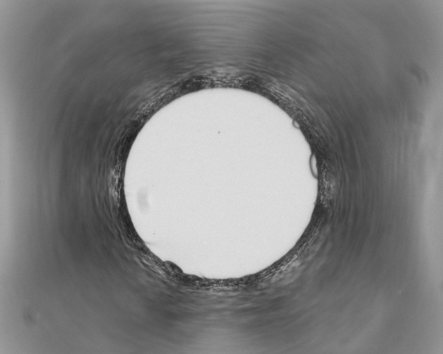 X0000110881010200907301429