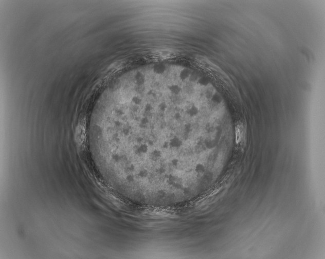 X0000110881011200907301429