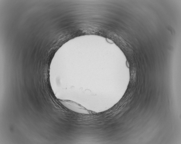 X0000110881012200907301429