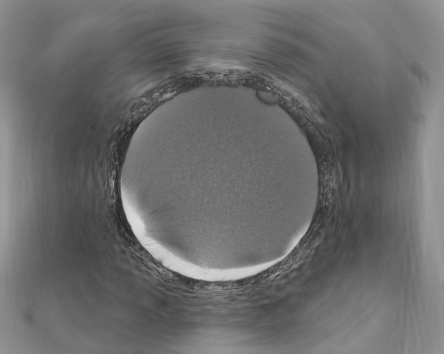 X0000110881013200907301429