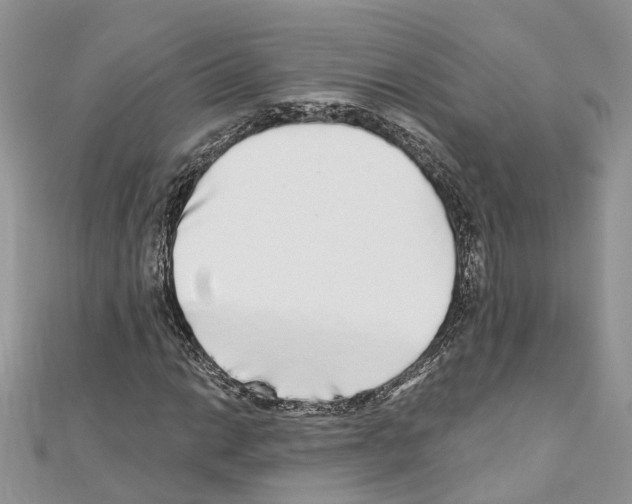 X0000110881014200907301429