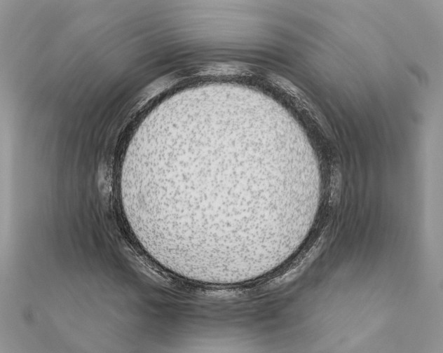 X0000110881017200907301429