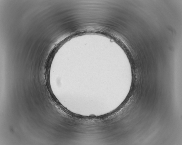 X0000110881018200907301429