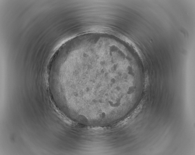 X0000110881019200907301429