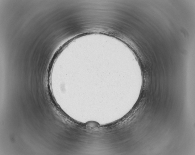 X0000110881020200907301429