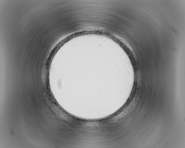 X0000110881021200907301429