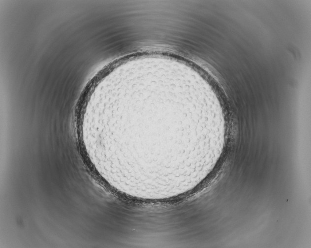 X0000110881022200907301429