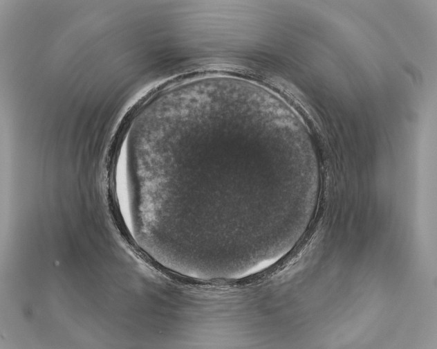 X0000110881024200907301429