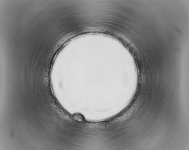 X0000110881025200907301429