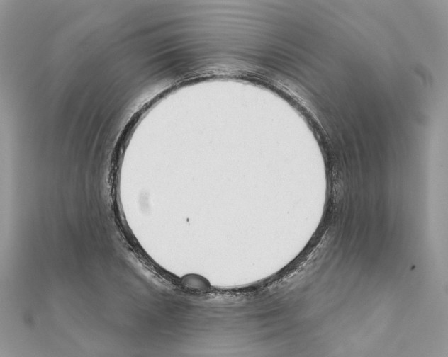 X0000110881026200907301429