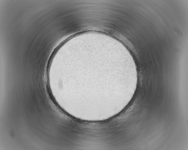 X0000110881028200907301429