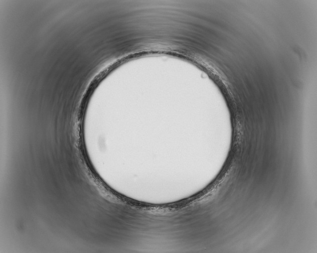 X0000110881029200907301429