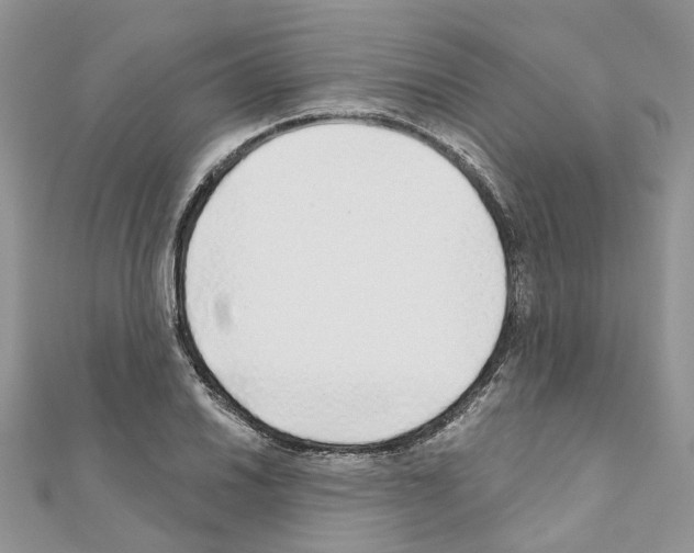 X0000110881030200907301429