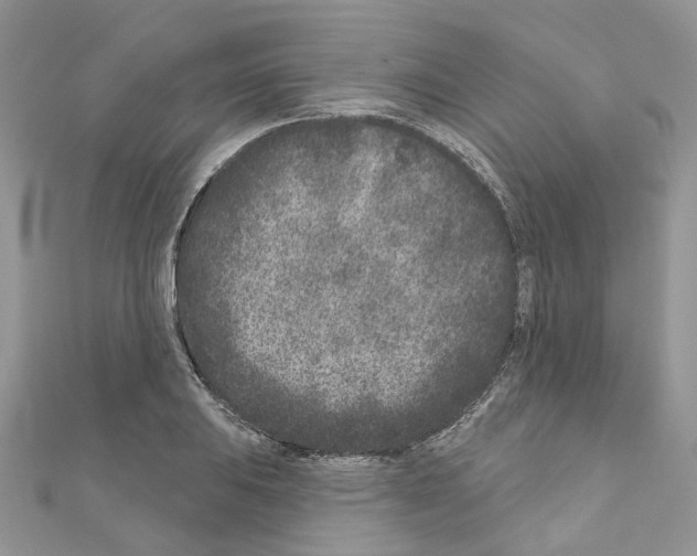 X0000110881031200907301429