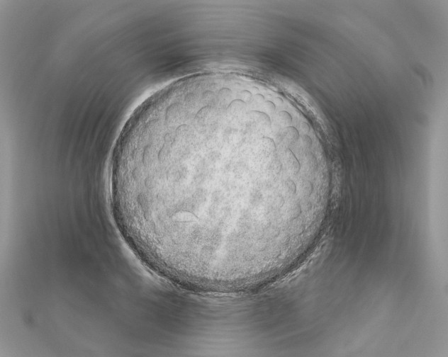 X0000110881032200907301429