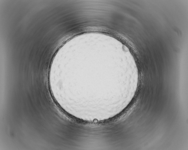 X0000110881033200907301429