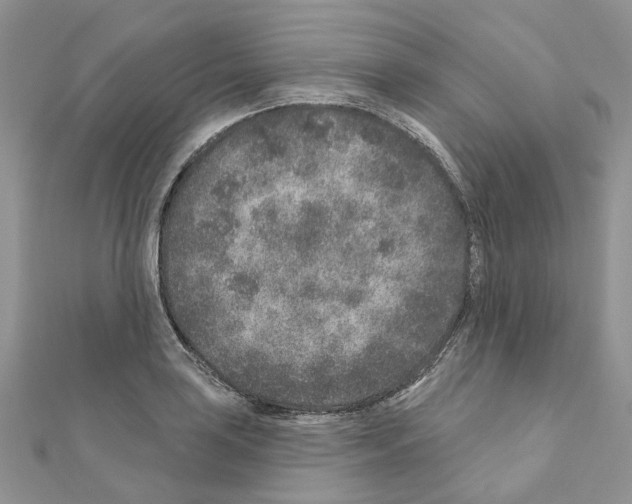 X0000110881035200907301429