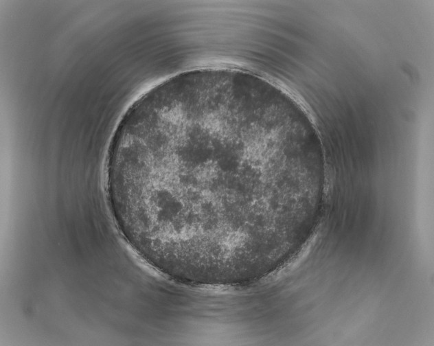 X0000110881037200907301429