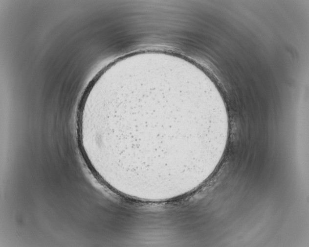 X0000110881038200907301429