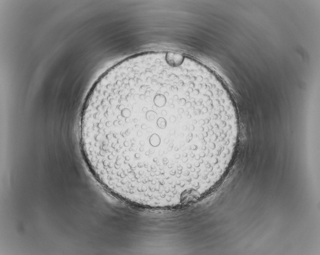 X0000110881040200907301429