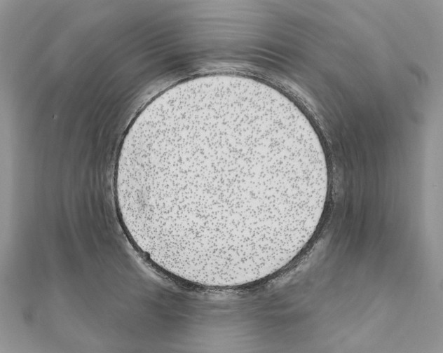 X0000110881041200907301429