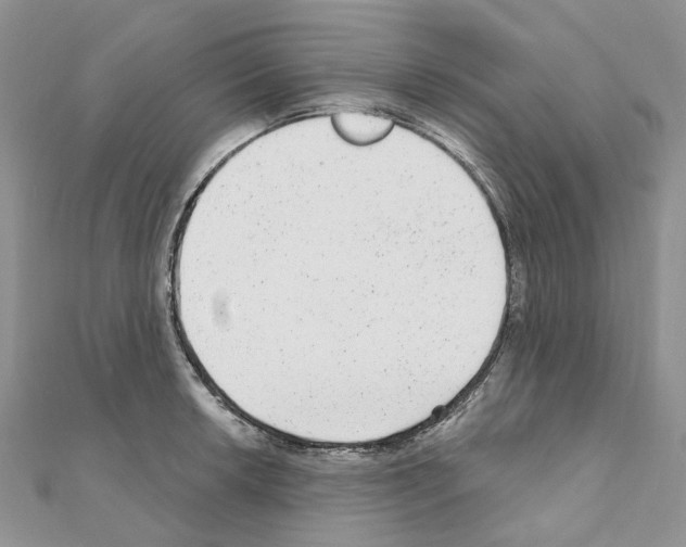 X0000110881042200907301429