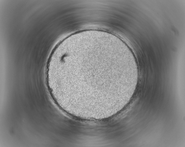 X0000110881045200907301429