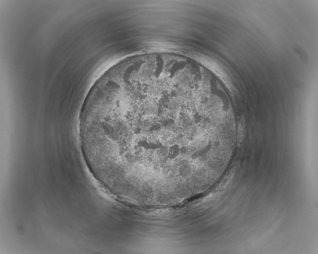 X0000110881047200907301429